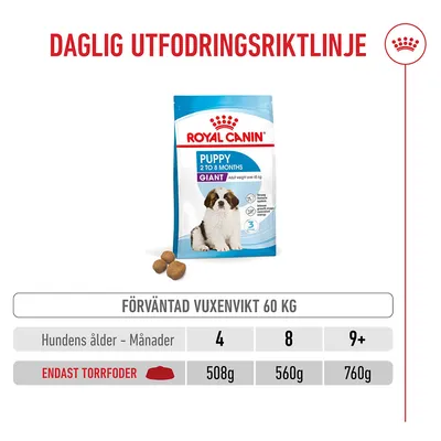 Royal Canin Giant Puppy Royal Canin Giant Puppy