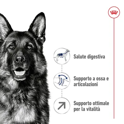 Testi visibili: Salute digestiva, Supporto a ossa e articolazioni, Supporto ottimale per la vitalità. Simboli illustrativi accanto a ciascun testo. Marchio Royal Canin in alto a destra.