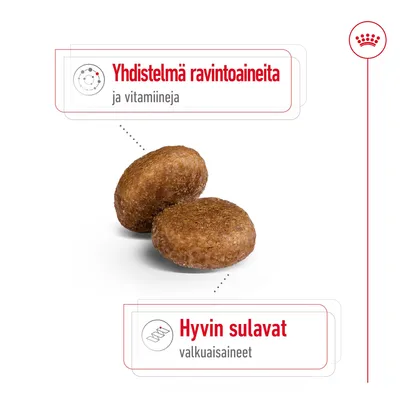 Yhdistelmä ravintoaineita ja vitamiineja. Hyvin sulavat valkuaisaineet.