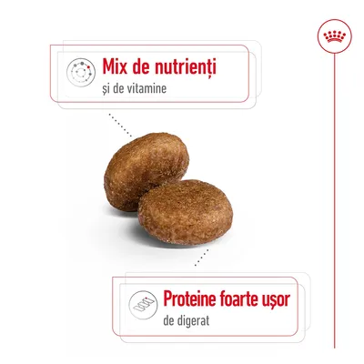 Două crochete de hrană uscată, cu text: Mix de nutrienți și de vitamine. Proteine foarte ușor de digerat.