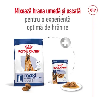 Mixează hrana umedă și uscată pentru o experiență optimă de hrănire. Royal Canin maxi adult 5+ L, de la 26 la 44 kg, hrană uscată și umedă vizibile în imagine.