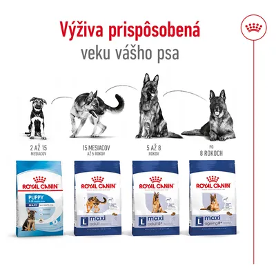 Royal Canin krmivo pre psov podľa veku: Puppy 2–15 mesiacov, Maxi Adult do 5 rokov, Maxi Adult 5+ 5–8 rokov, Maxi Ageing 8+ po 8 rokoch. Výživa prispôsobená veku psa.