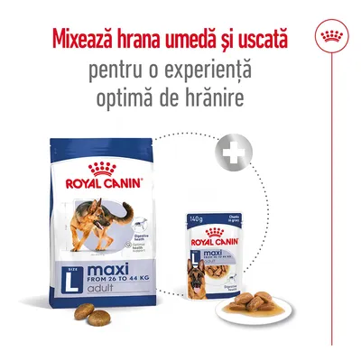 Royal Canin maxi adult L, hrană uscată și umedă pentru câini 26–44 kg. Text: Mixează hrana umedă și uscată pentru o experiență optimă de hrănire.