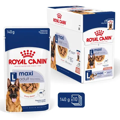 Royal Canin maxi adult Gravy-Salsa, balenie 10×140 g. Na obale nemecký ovčiak, porcia krmiva v omáčke, text: Digestive health. Viditeľné logo Royal Canin.