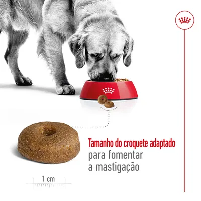 Cão a comer de uma taça vermelha com croquete em destaque, legenda: Tamanho do croquete adaptado para fomentar a mastigação. Escala mostra 1 cm.