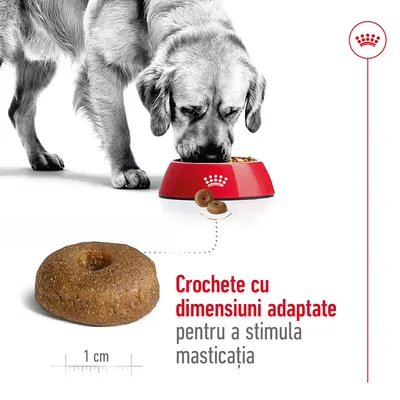 Câine mâncând din bol roșu Royal Canin, crochetă rotundă de 1 cm prezentată. Text: Crochete cu dimensiuni adaptate pentru a stimula masticația.