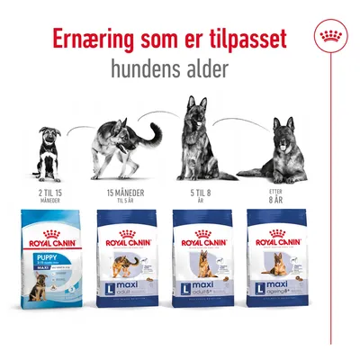 Royal Canin Maxi Ageing 8+