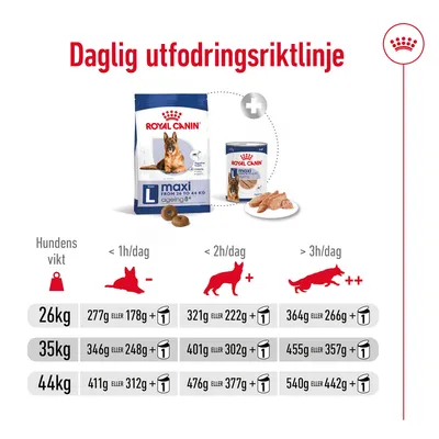 Daglig utfodringsriktlinje för Royal Canin Maxi Ageing 8+ torr- och våtfoder. Tabell visar mängd i gram per dag för hundar på 26, 35 och 44 kg beroende på aktivitetsnivå.