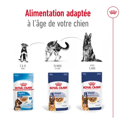 Alimentation adaptée à l’âge de votre chien : Royal Canin Puppy 2 à 15 mois, Maxi Adult 15 mois à 5 ans, Maxi Ageing après 5 ans. Trois sachets visibles avec chiens illustrés.
