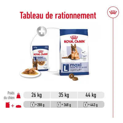 Tableau de rationnement Royal Canin maxi ageing 8+ : pour 26 kg, 1 sachet + 288 g ; 35 kg, 1 sachet + 368 g ; 44 kg, 1 sachet + 443 g. Poids du chien indiqué.