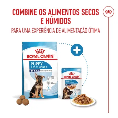 Royal Canin Maxi Puppy em molho