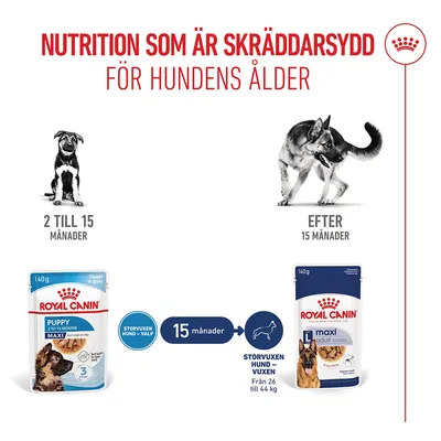 Royal Canin Maxi Puppy i sås Royal Canin Maxi Puppy i sås