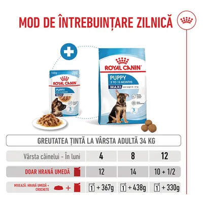 Tabel de hrănire pentru Royal Canin Puppy Maxi: cantități recomandate de hrană umedă și hrană uscată în funcție de vârstă (4, 8, 12 luni) pentru o greutate finală de 34, kg. Tabel de hrănire pentru Royal Canin Puppy Maxi: cantități recomandate de hrană umedă și hrană uscată în funcție de vârstă (4, 8, 12 luni) pentru o greutate finală de 34, kg.