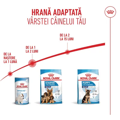 Royal Canin Babydog Milk 0-2 luni, Starter Maxi 1-2 luni, Puppy Maxi 2-15 luni. Recomandare de hrănire în funcție de vârsta câinelui. Royal Canin Babydog Milk 0-2 luni, Starter Maxi 1-2 luni, Puppy Maxi 2-15 luni. Recomandare de hrănire în funcție de vârsta câinelui.