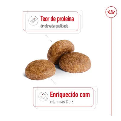 Três croquetes de ração. Texto visível: 'Teor de proteína de elevada qualidade' e 'Enriquecido com vitaminas C e E'.