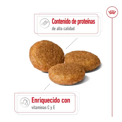 Tres croquetas de pienso. Texto visible: 'Contenido de proteínas de alta calidad' y 'Enriquecido con vitaminas C y E'.