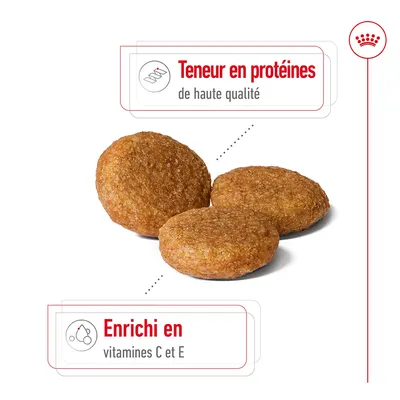 Croquettes avec texte : Teneur en protéines de haute qualité. Enrichi en vitamines C et E.