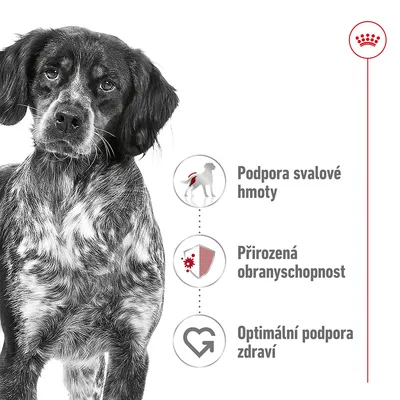 Podpora svalové hmoty, přirozená obranyschopnost, optimální podpora zdraví – tři hlavní benefity zobrazené vedle psa. Vpravo nahoře červená korunka.