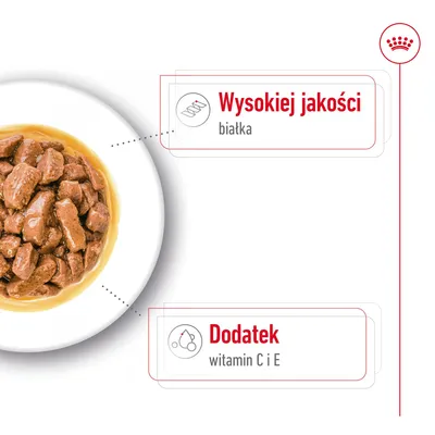 Mokra karma w sosie na talerzu, tekst: Wysokiej jakości białka, Dodatek witamin C i E.