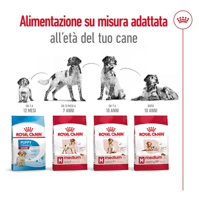 Alimentazione su misura Royal Canin per cani: Puppy 2–12 mesi, Medium Adult 12 mesi–7 anni, Medium Adult 7+ 7–10 anni, Medium Ageing 10+ dopo 10 anni. Immagini di cani in diverse età.