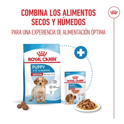 Royal Canin Medium Puppy en salsa Royal Canin Medium Puppy en salsa