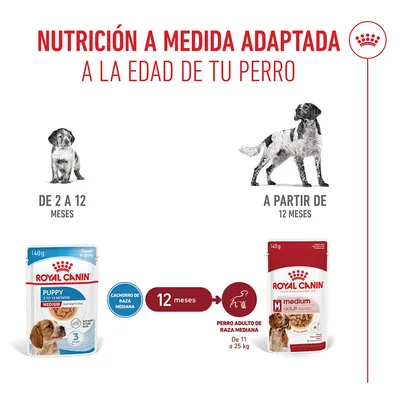 Royal Canin Medium Puppy en salsa Royal Canin Medium Puppy en salsa