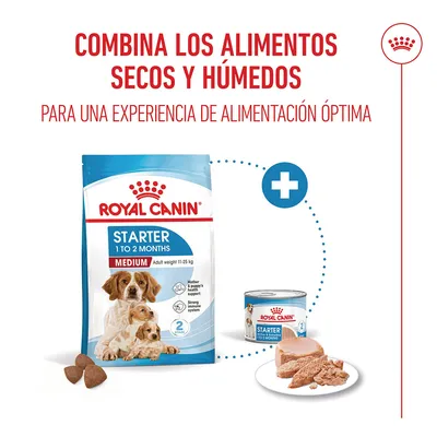 Royal Canin Medium Starter Mother & Babydog