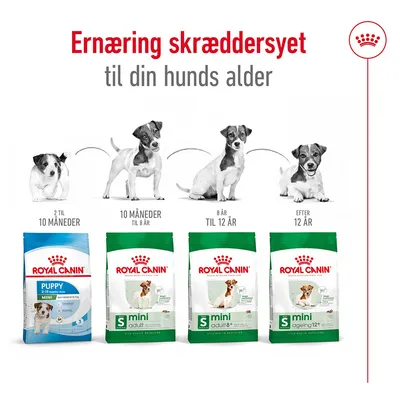 Ernæring skræddersyet til din hunds alder. Royal Canin Puppy 2–10 måneder, Mini Adult 10 måneder–8 år, Mini Adult 8+ 8–12 år, Mini Ageing 12+ efter 12 år.
