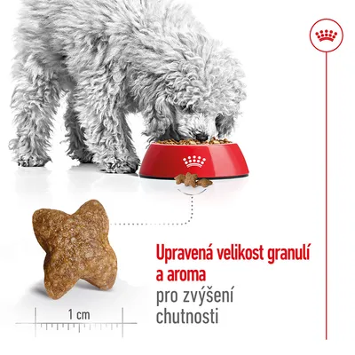 Pes u misky s granulemi, detail granulí tvaru hvězdy o velikosti 1 cm. Text: Upravená velikost granulí a aroma pro zvýšení chutnosti.