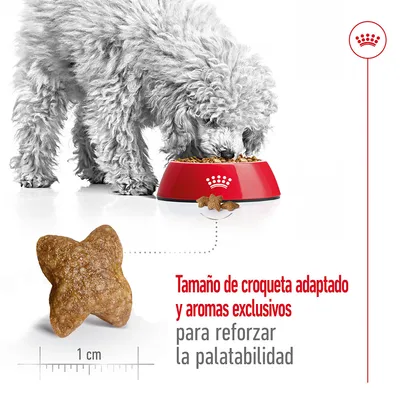 Perro comiendo pienso de un cuenco rojo, croqueta en primer plano con tamaño de 1 cm. Texto: Tamaño de croqueta adaptado y aromas exclusivos para reforzar la palatabilidad.