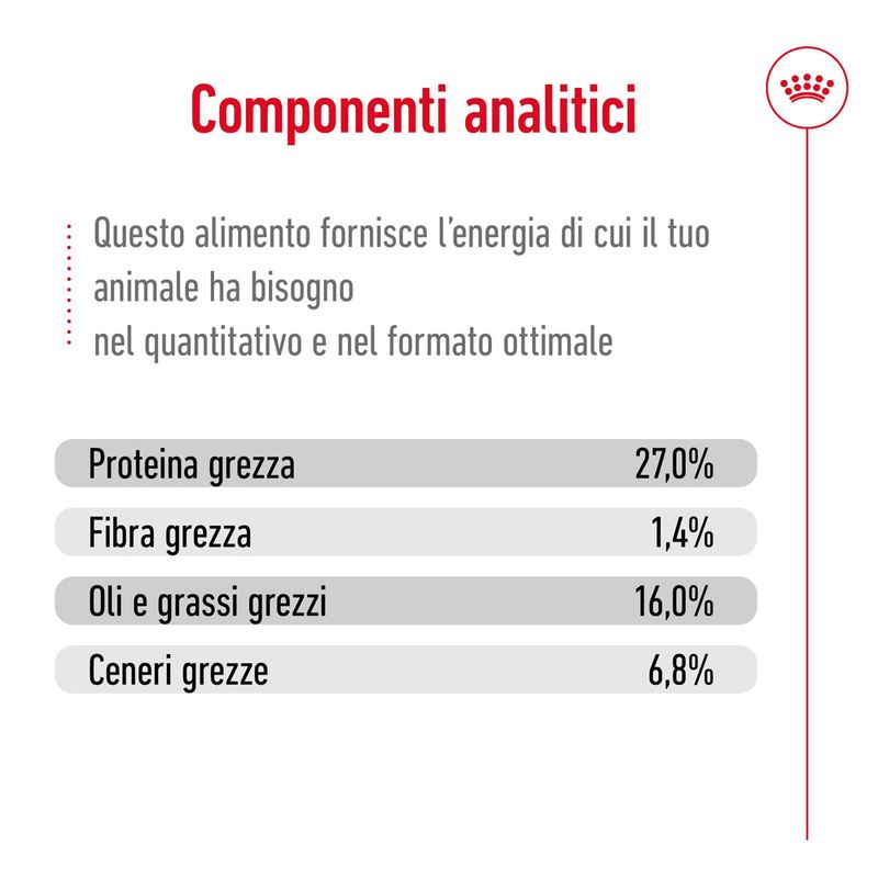 Royal Canin Mini Adult Crocchette per cane