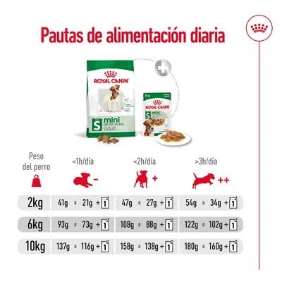 Pautas de alimentación diaria Royal Canin Mini Adult: tabla con cantidades recomendadas según peso del perro (2, 6, 10 kg) y nivel de actividad, combinando pienso y sobres húmedos.