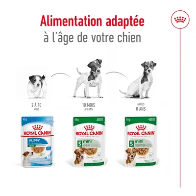 Alimentation adaptée à l’âge de votre chien : Royal Canin Puppy 2 à 10 mois, Mini Adult 10 mois à 8 ans, Mini Ageing après 8 ans. Trois sachets visibles avec chiens illustrés.