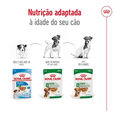 Royal Canin: Nutrição adaptada à idade do seu cão. Dos 2 até aos 10 meses, dos 10 meses até aos 8 anos, após os 8 anos. Três embalagens de comida húmida para cães visíveis.