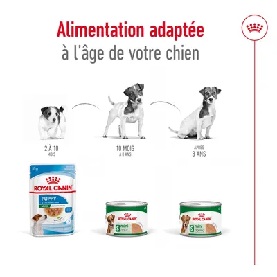 Schéma Royal Canin : alimentation adaptée selon l’âge du chien. Puppy 2–10 mois, Mini Adult 10 mois–8 ans, Mini Ageing après 8 ans. Visuels des produits correspondants.