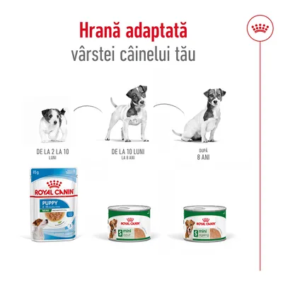 Hrana adaptată vârstei câinelui: Royal Canin Puppy 2–10 luni, Mini Adult 10 luni–8 ani, Mini Ageing după 8 ani. Imagini cu produse și etape de creștere a câinelui.