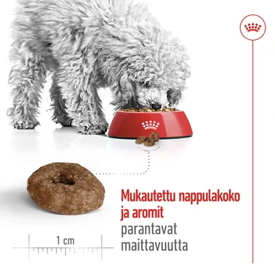 Valkoinen koira syö punaisesta kupista, nappulan koko 1 cm. Teksti: Mukautettu nappulakoko ja aromit parantavat maittavuutta.