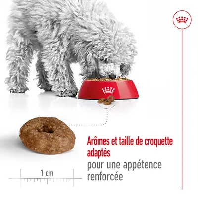 Chien mangeant des croquettes dans une gamelle rouge Royal Canin, croquette ronde de 1 cm montrée en gros plan. Texte : Arômes et taille de croquette adaptés pour une appétence renforcée.