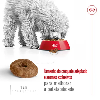 Cão a comer ração de uma taça vermelha Royal Canin; croquete redondo com 1 cm de diâmetro. Texto: Tamanho do croquete adaptado e aromas exclusivos para melhorar a palatabilidade.