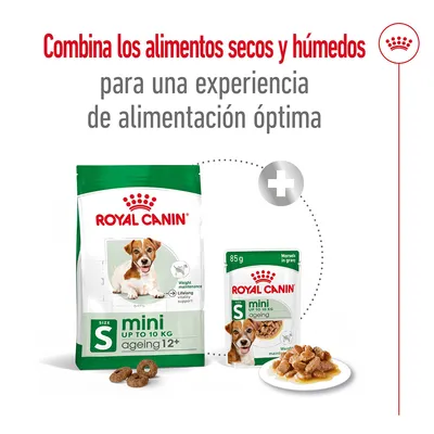 ROYAL CANIN mini UP TO 10 KG ageing 12+ pienso seco y húmedo, bolsa y sobre de 85 g. Texto: Combina los alimentos secos y húmedos para una experiencia de alimentación óptima.