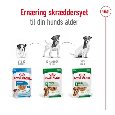 Royal Canin vådfoder til hunde: Puppy 2–10 måneder, Mini Adult 10 måneder til 8 år, Mini Ageing efter 8 år. Tekst: Ernæring skræddersyet til din hunds alder.