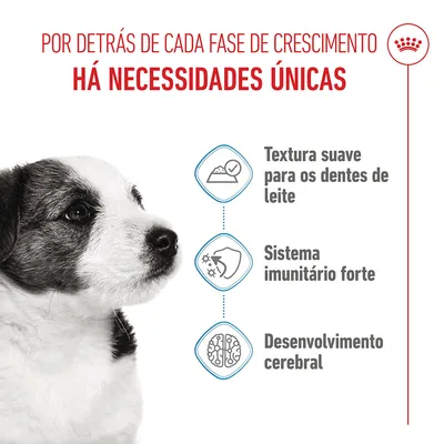 Royal Canin Mini Puppy em molho