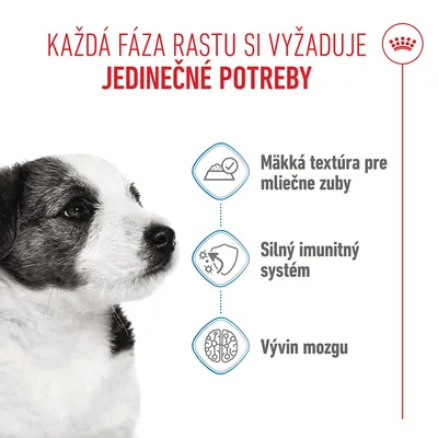 Royal Canin Mini Puppy v omáčke