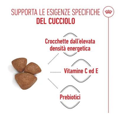 Royal Canin Mini Starter Mother & Babydog Crocchette per cane