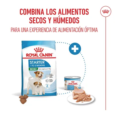 Royal Canin Mini Starter Mother & Babydog