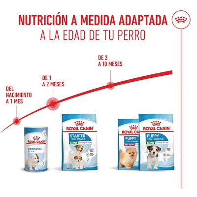 Royal Canin Mini Starter Mother & Babydog