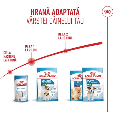 Royal Canin Babydog Milk pentru 0–2 săptămâni, Starter Mini 1–2 luni, Puppy Mini 2–10 luni. Recomandare de hrănire în funcție de vârsta câinelui. Royal Canin Babydog Milk pentru 0–2 săptămâni, Starter Mini 1–2 luni, Puppy Mini 2–10 luni. Recomandare de hrănire în funcție de vârsta câinelui.
