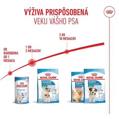Royal Canin Mini Starter Mother & Babydog