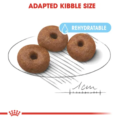 Kolme nappulaa, halkaisija noin 1 cm. Yläreunassa teksti 'ADAPTED KIBBLE SIZE', sininen merkintä 'REHYDRATABLE' vesipisarakuvakkeella.