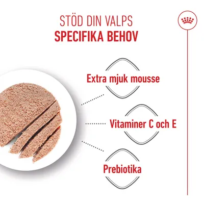 Royal Canin Starter Mother & Babydog Ultra Soft Mousse